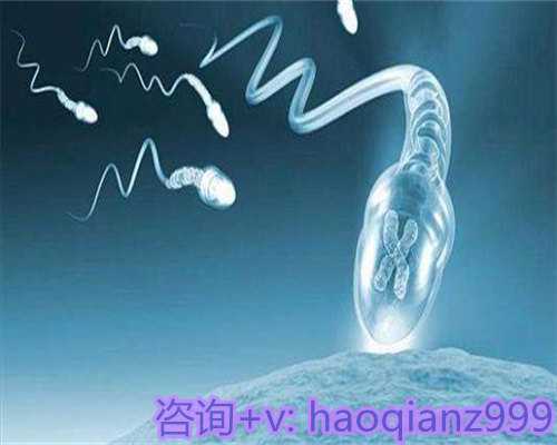 衡阳优质助孕机构推荐与比较