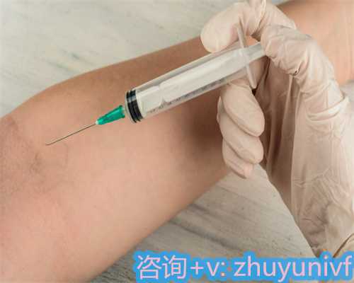 石家庄试管助孕费用解析：专业代孕网指南